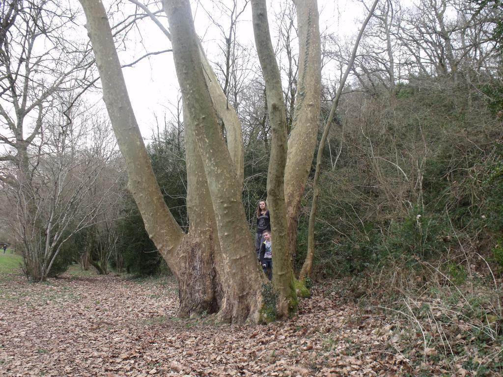 Camping Des Ribieres Confolens Exteriör bild